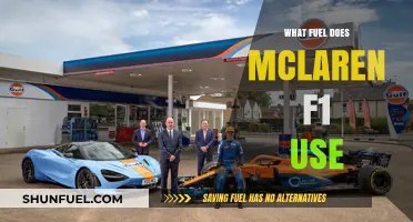 McLaren F1 Fuel: Unleashing Power with Premium Petrol Choices