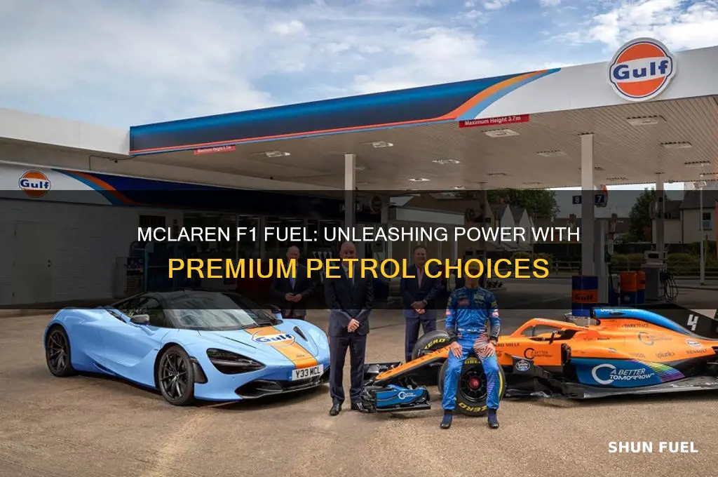 what fuel does mclaren f1 use