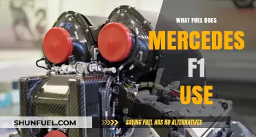 Mercedes F1 Fuel: Unveiling the Power Source Behind Their Success