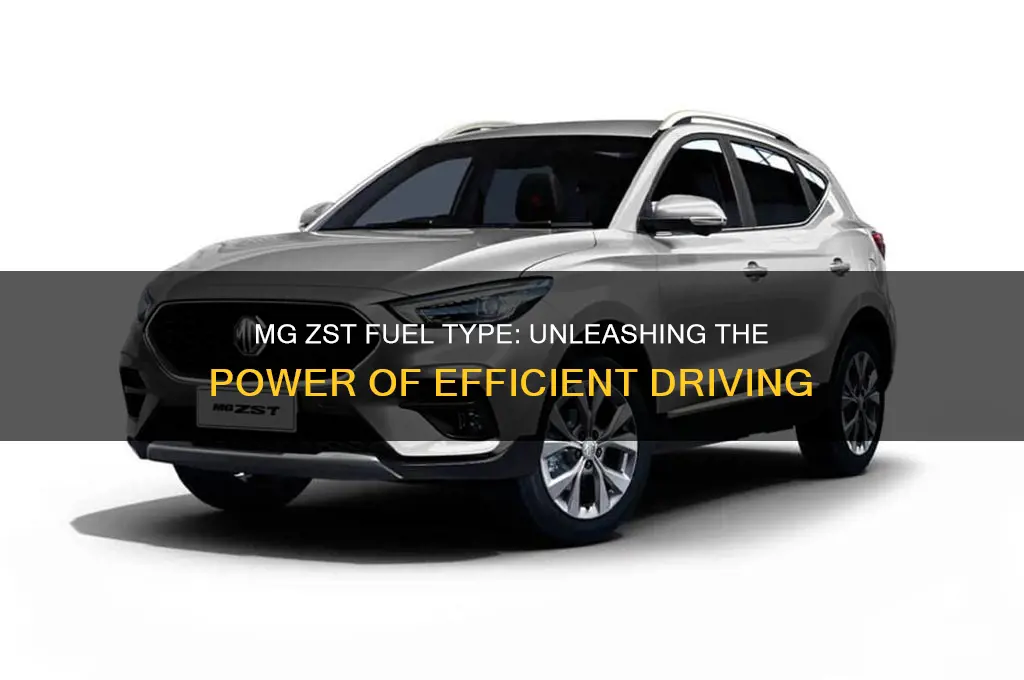 what fuel does mg zst use
