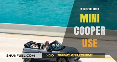Mini Cooper Fuel Types: Gasoline, Diesel, or Electric Options Explained
