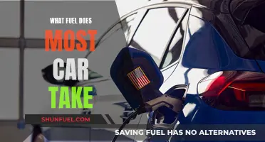 The Most Common Car Fuel: Unleaded Petrol Power