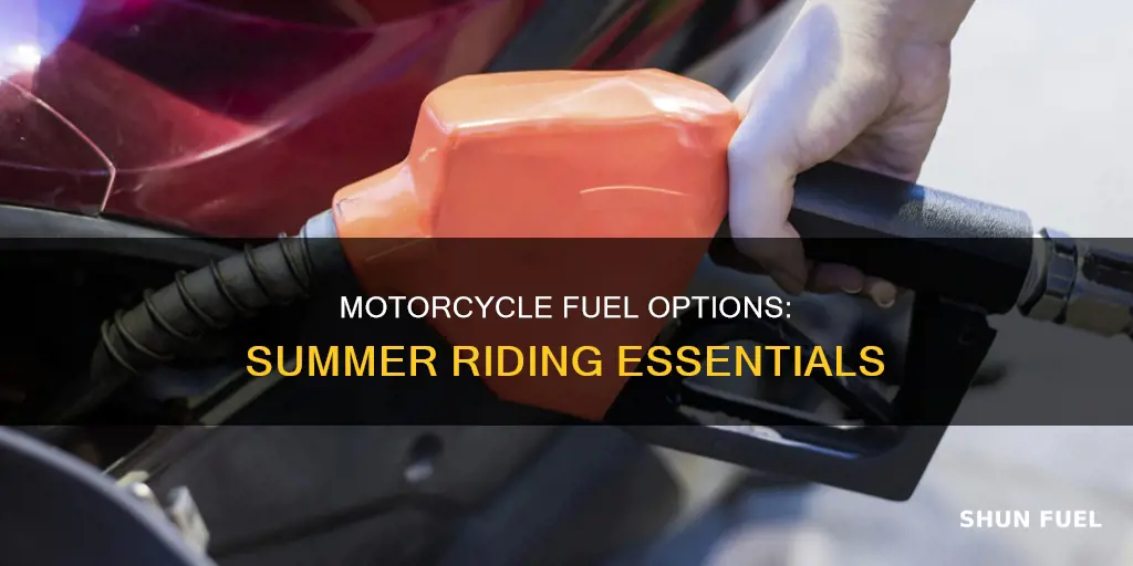 what fuel does motorcycle use in my summer car