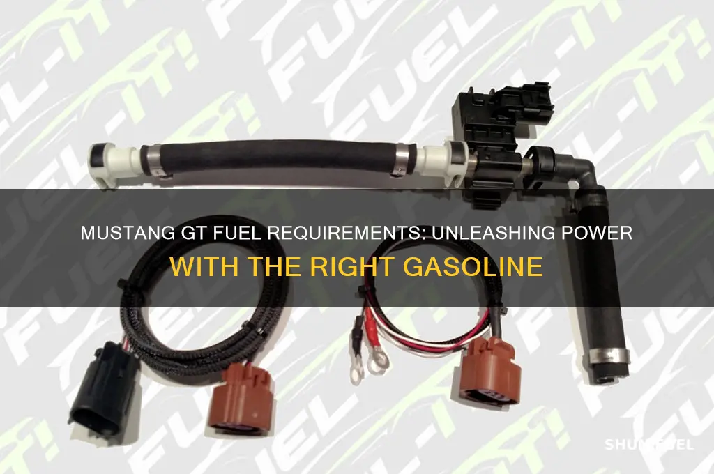 what fuel does mustang gt use