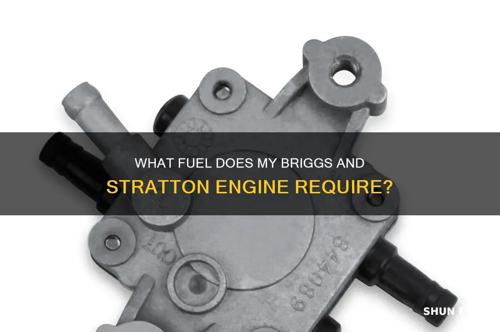 what fuel does my briggs and stratton use