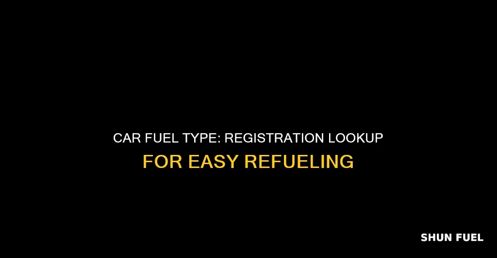 what fuel does my car take by registration