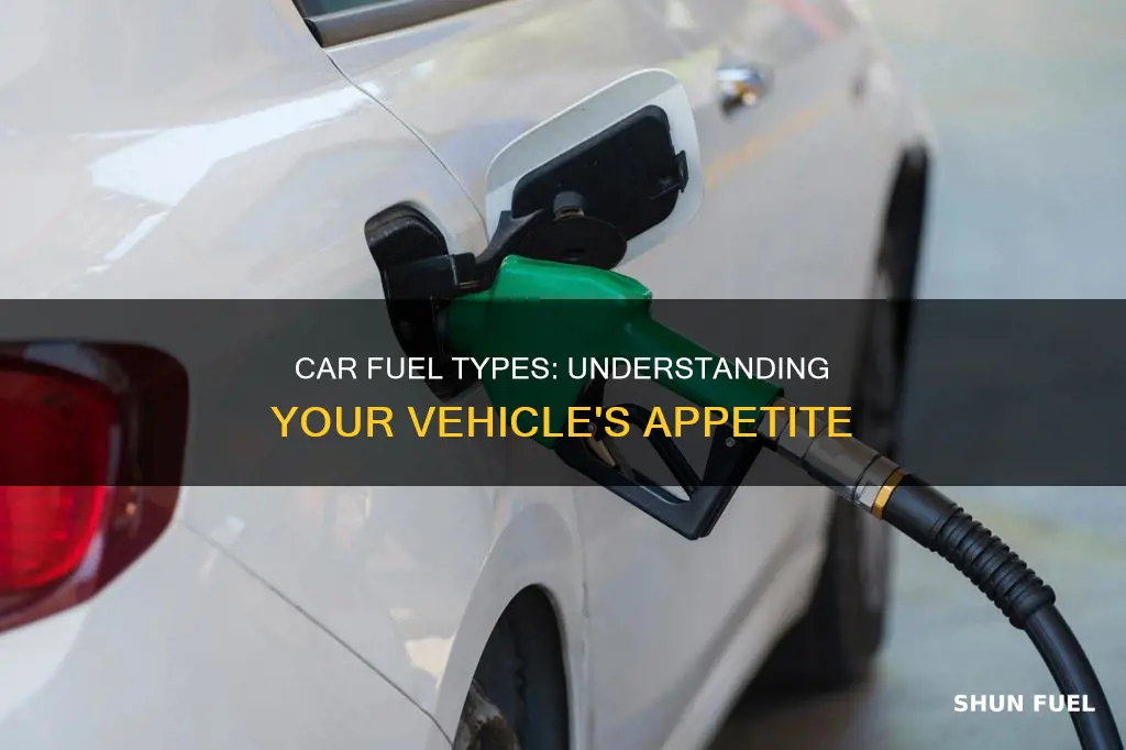 what fuel does my car take uk