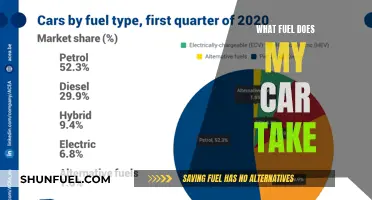 Understanding Your Car's Fuel: A Comprehensive Guide