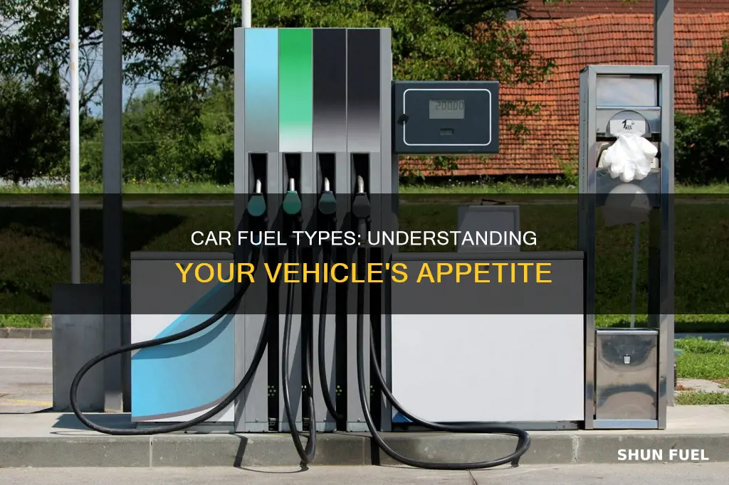 what fuel does my car take