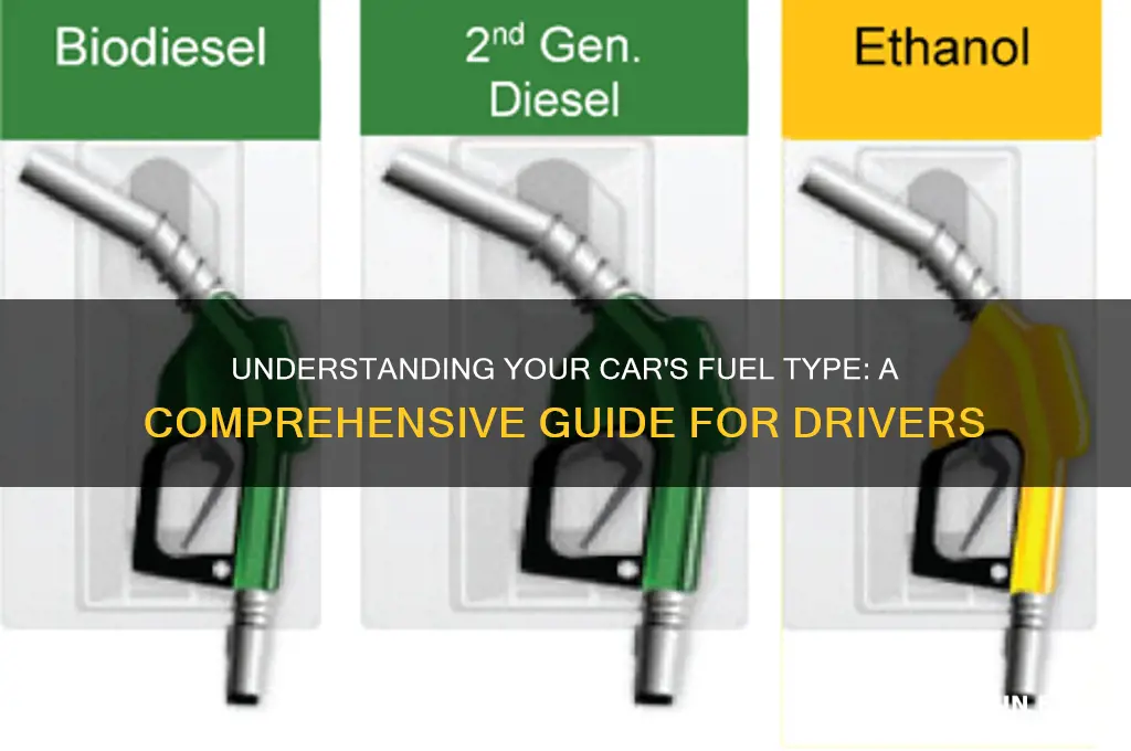 what fuel does my car use