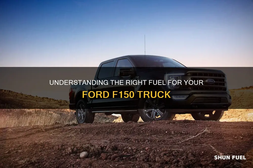 what fuel does my f150 use
