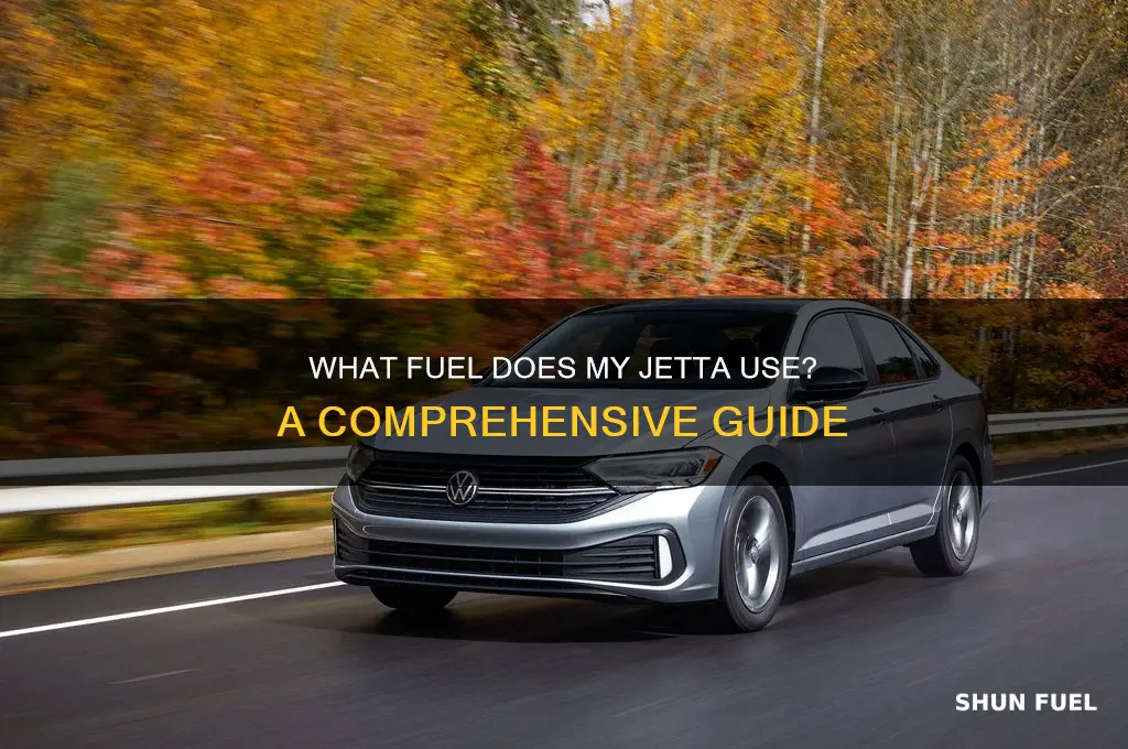 what fuel does my jetta use