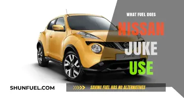 Nissan Juke Fuel Type: Unleashing the Right Gasoline for Optimal Performance