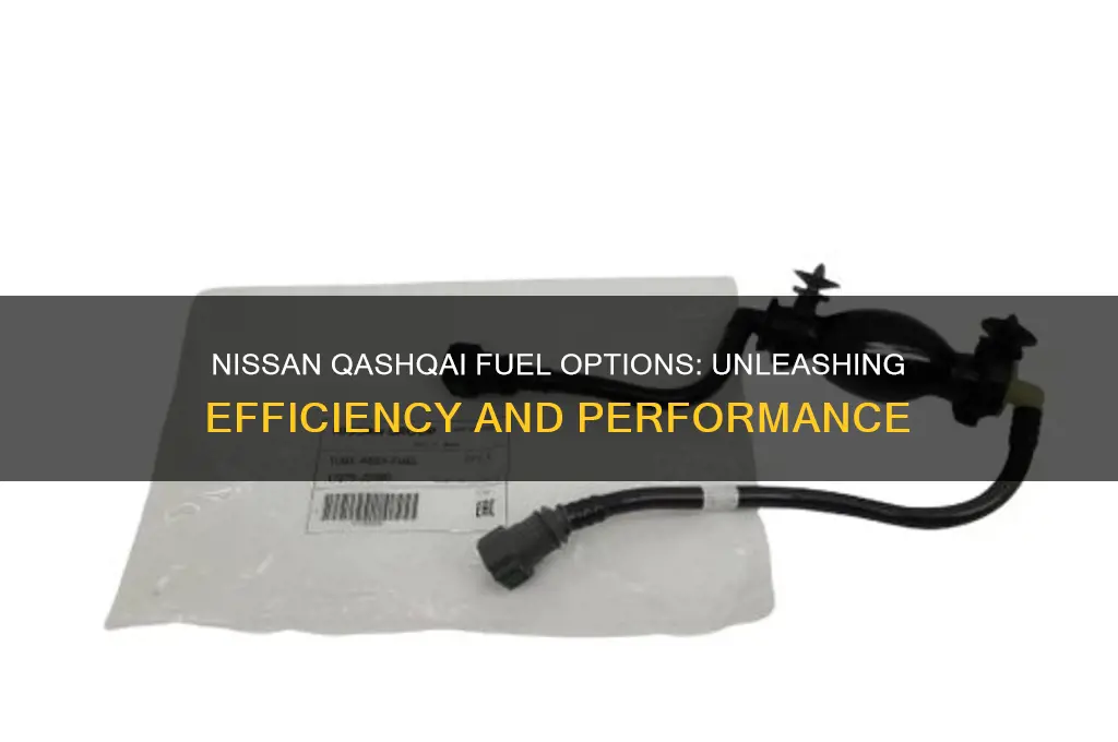 what fuel does nissan qashqai use