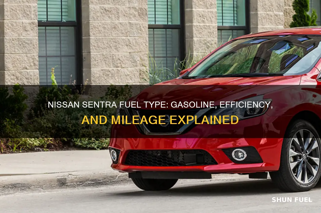 what fuel does nissan sentra use