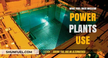 Unveiling the Fuel Source: What Powers Nuclear Power Plants?
