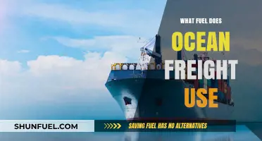 Ocean Freight Fuel Types: Exploring the Power Behind Global Shipping