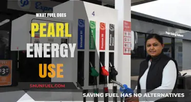 Pearl Energy's Fuel Source: Uncovering the Power Behind Their Operations