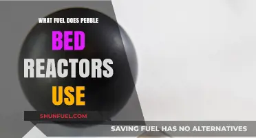 Pebble Bed Reactors: Unveiling the Unique Fuel Source Powering Them