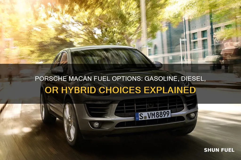 what fuel does porsche macan use