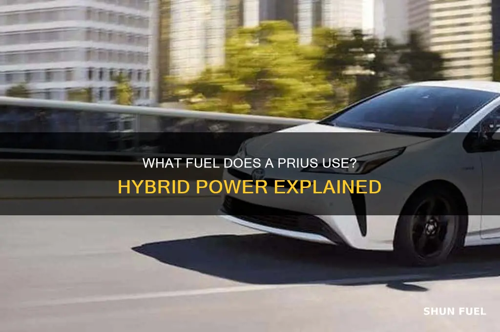 what fuel does prius use