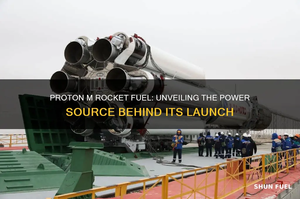 what fuel does proton m use