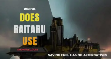 Raitaru's Fuel Source: Unveiling the Energy Behind Its Operations