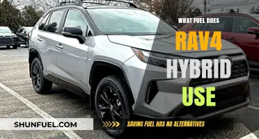 Rav4 Hybrid Fuel Type: Gasoline and Electric Power Explained