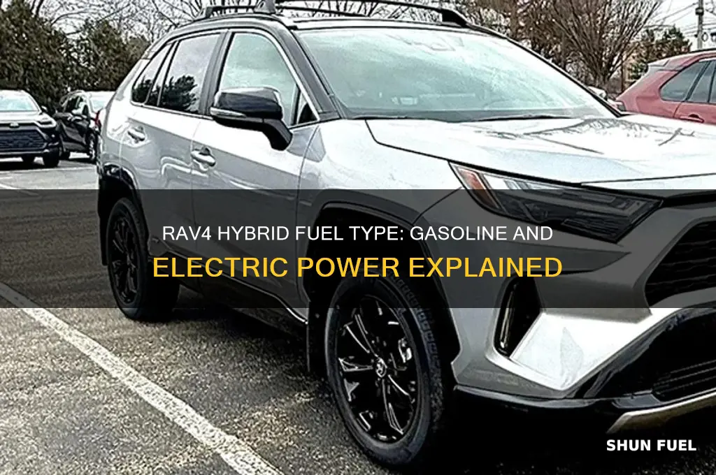 what fuel does rav4 hybrid use