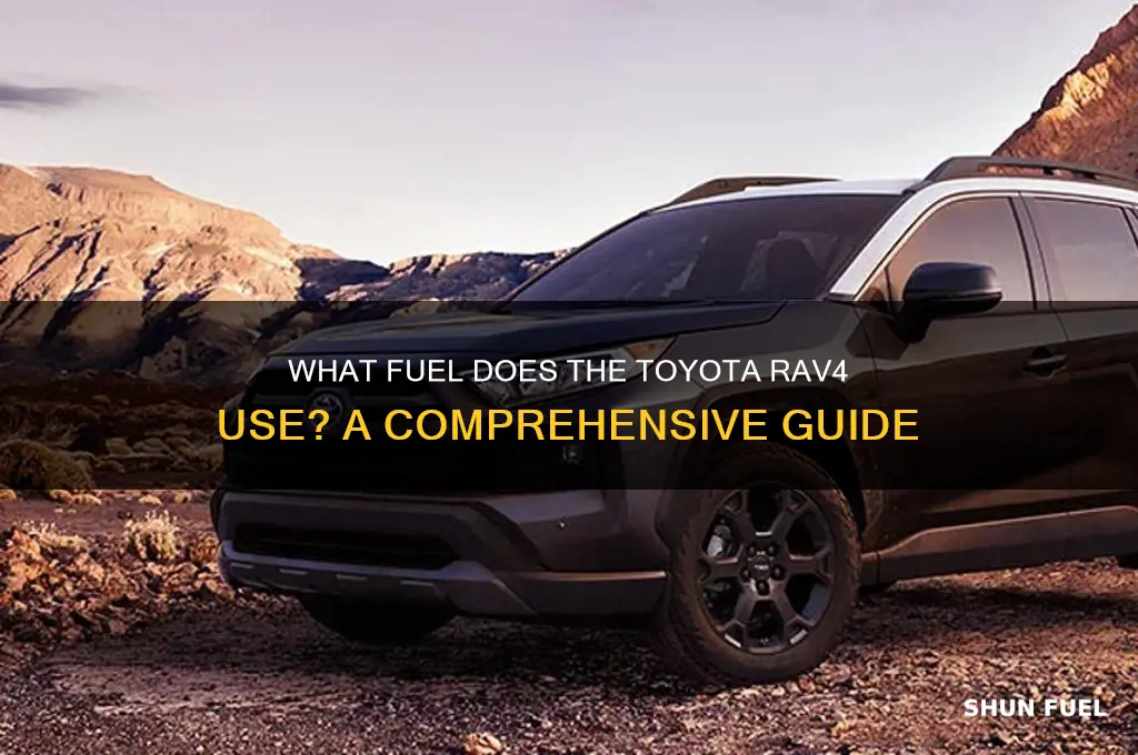 what fuel does rav4 use