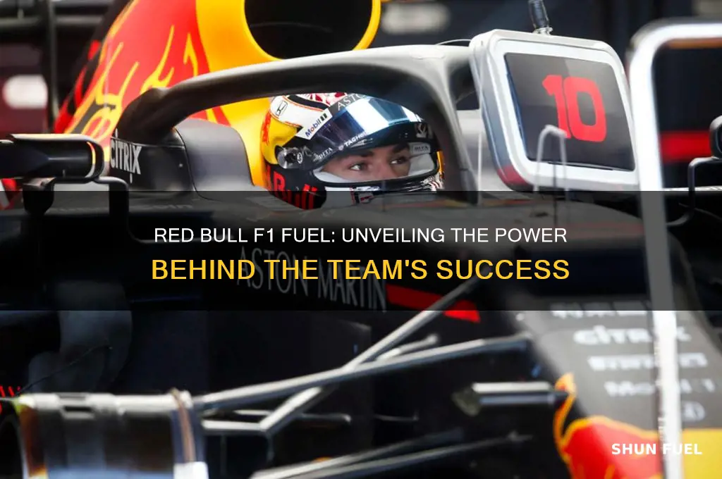 what fuel does red bull f1 use