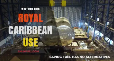 Royal Caribbean's Fuel Choice: Powering Cruises Sustainably or Traditionally?