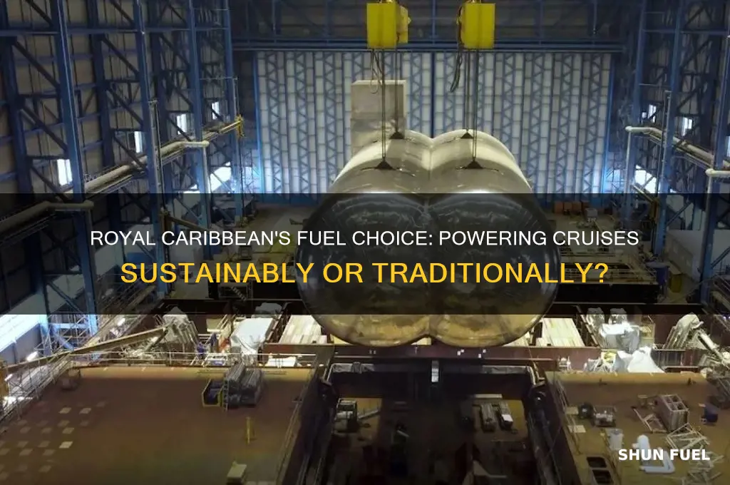 what fuel does royal caribbean use