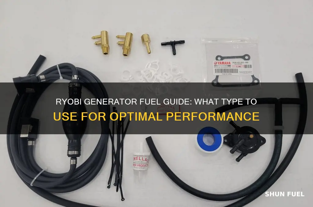what fuel does ryobi generator use