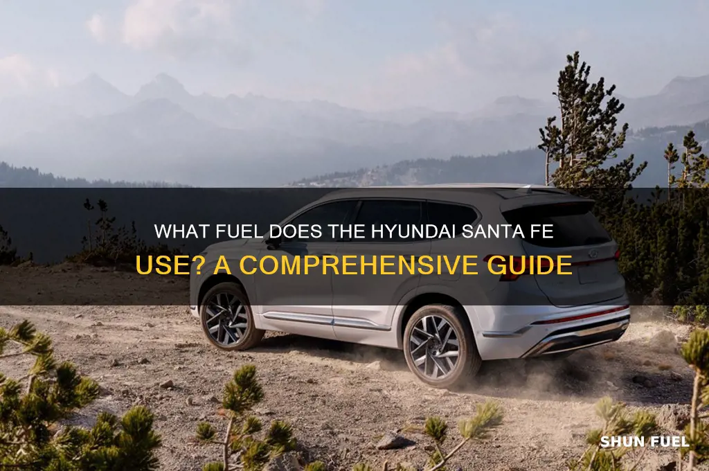 what fuel does santa fe use