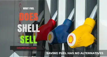 Shell's Fuel Offerings: Gasoline, Diesel, and Alternative Energy Options