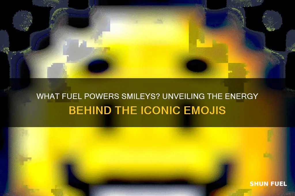 what fuel does smileys carry