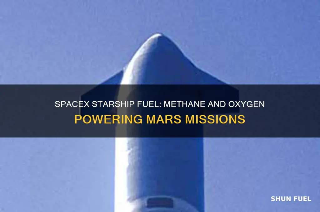 what fuel does spacex starship use
