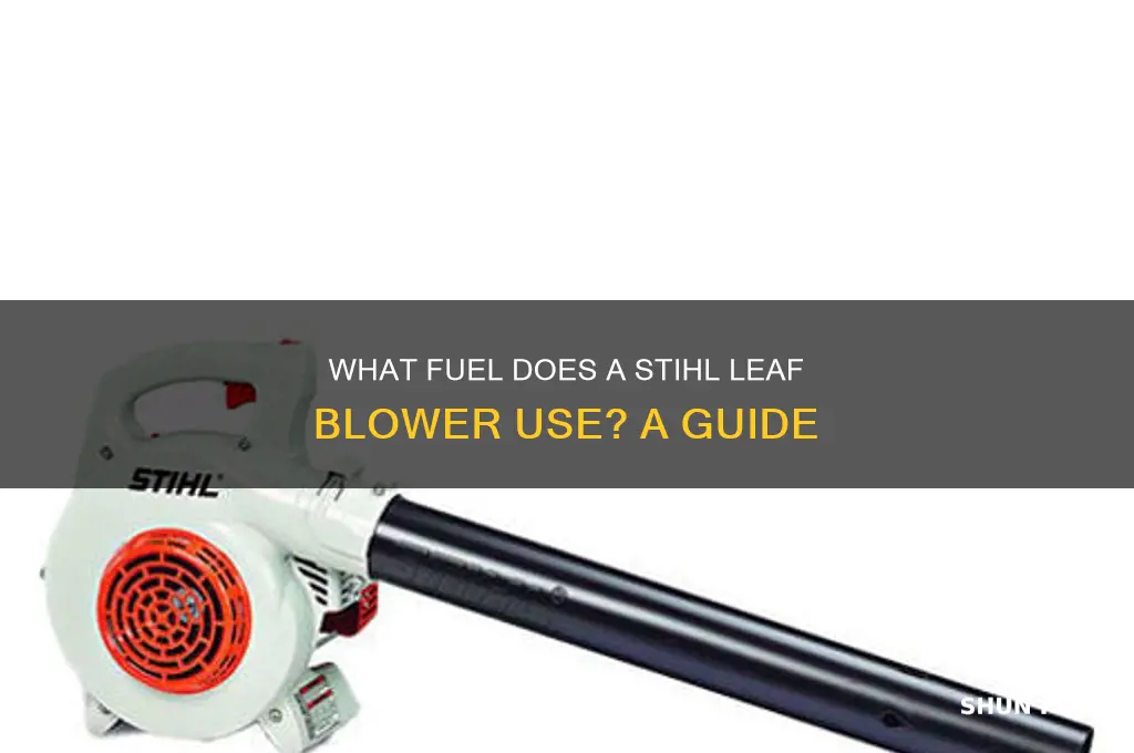what fuel does stihl leaf blower use