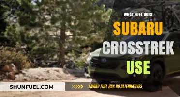 Subaru Crosstrek Fuel Type: Gasoline, Efficiency, and Performance Explained