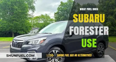 Subaru Forester Fuel Type: Gasoline, Efficiency, and Performance Explained