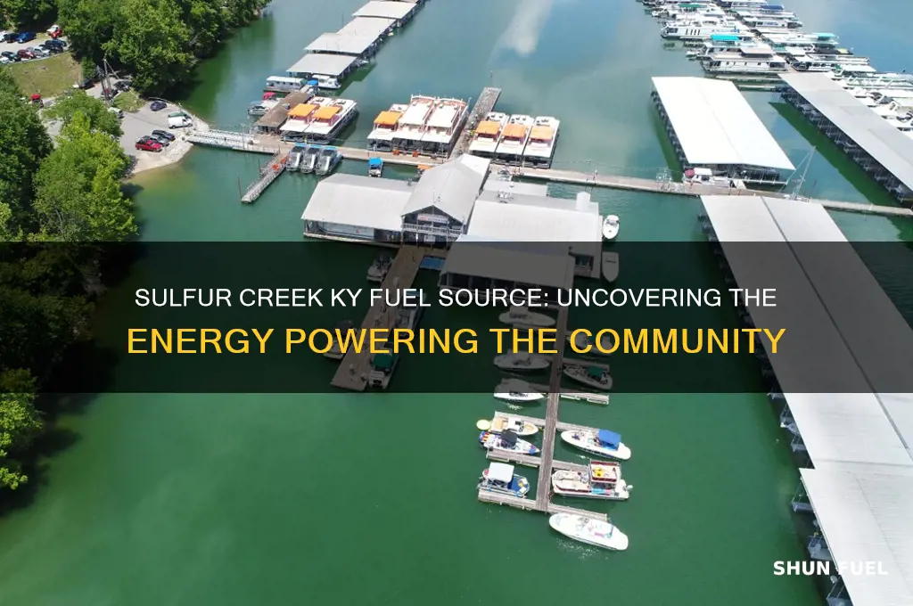 what fuel does sulfur creek ky use