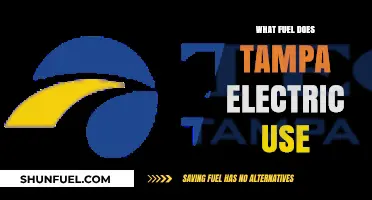 Tampa Electric's Fuel Sources: Powering Florida with Diverse Energy Options