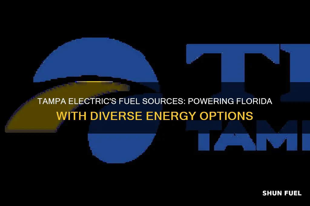 what fuel does tampa electric use