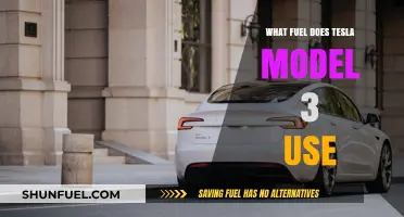Tesla Model 3 Fuel: Electricity Powers This Eco-Friendly Sedan