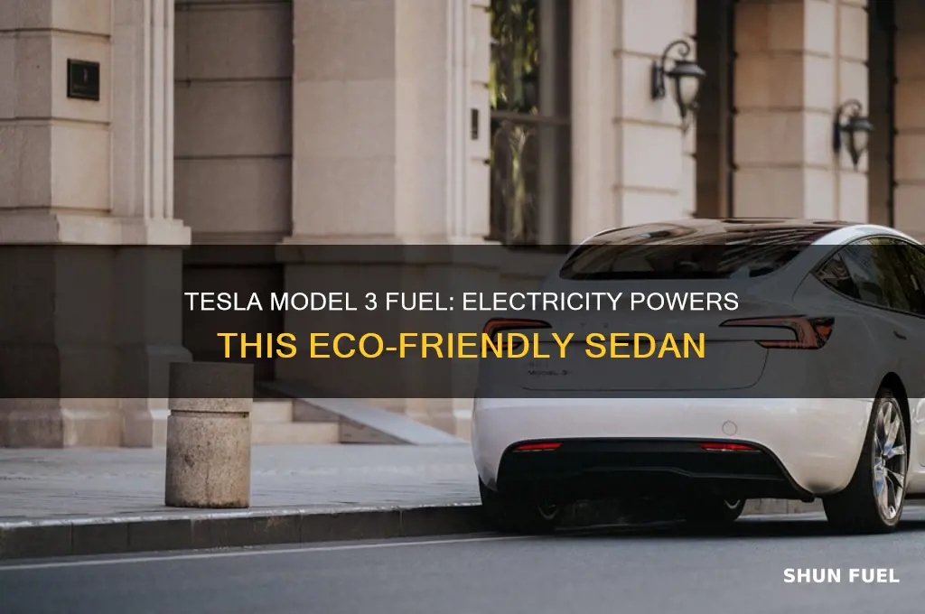 what fuel does tesla model 3 use