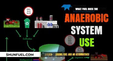 Anaerobic System Fuel: Unlocking Energy Without Oxygen Explained