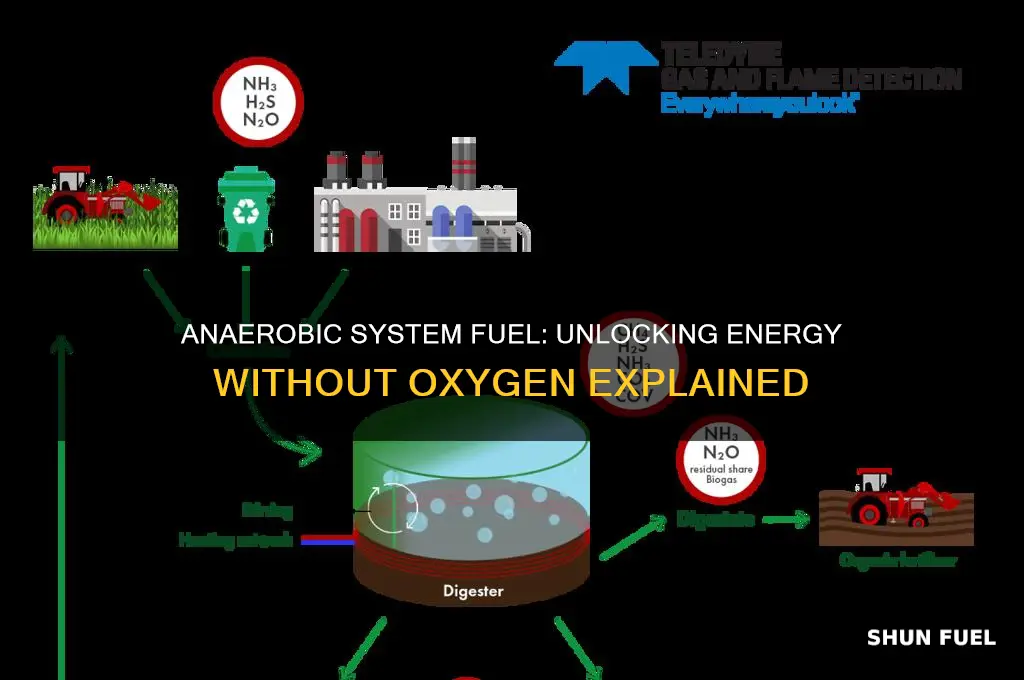 what fuel does the anaerobic system use