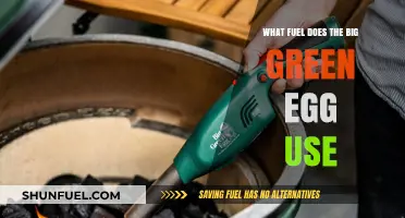 What Fuel Does the Big Green Egg Use? A Comprehensive Guide