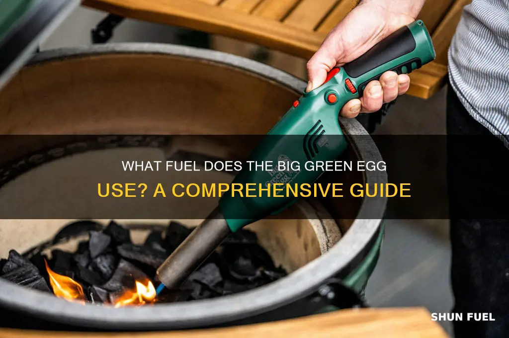 what fuel does the big green egg use